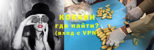 spice Козельск