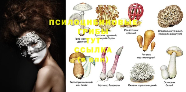 прущие крисы Кодинск