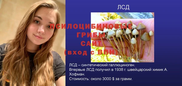 прущие крисы Кодинск