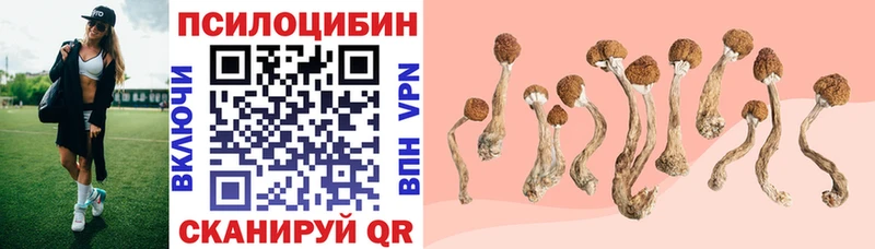 Псилоцибиновые грибы MAGIC MUSHROOMS  цены   Лабытнанги 